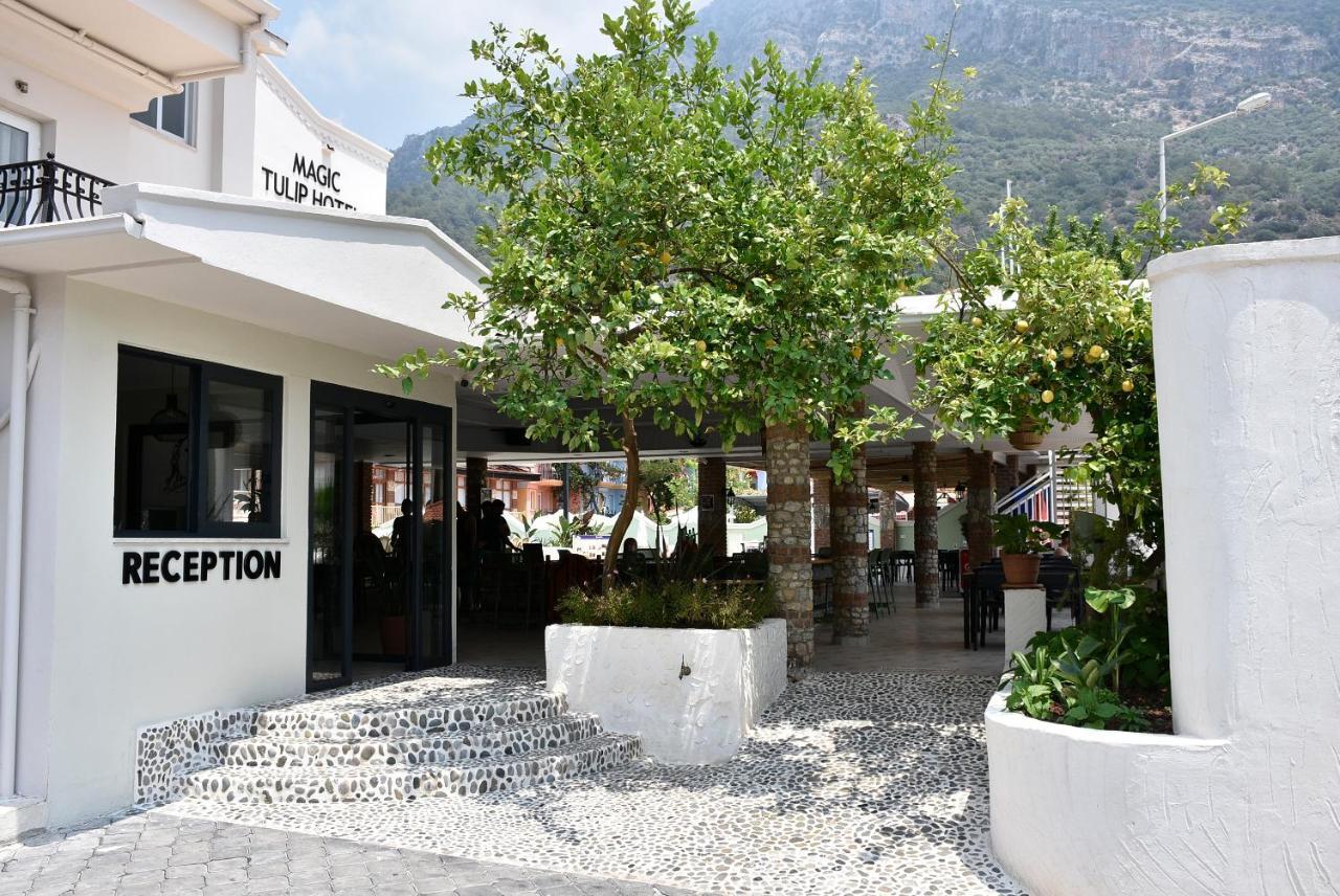 Otel Magic Tulip